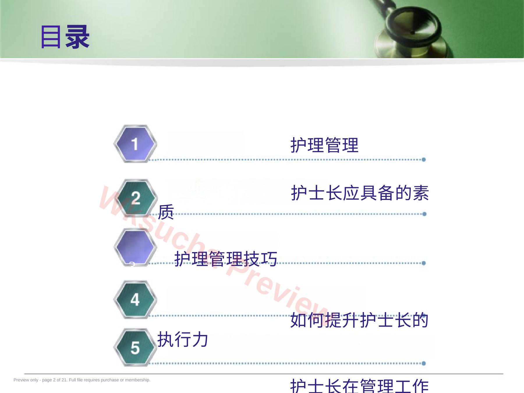 预览第 2 页