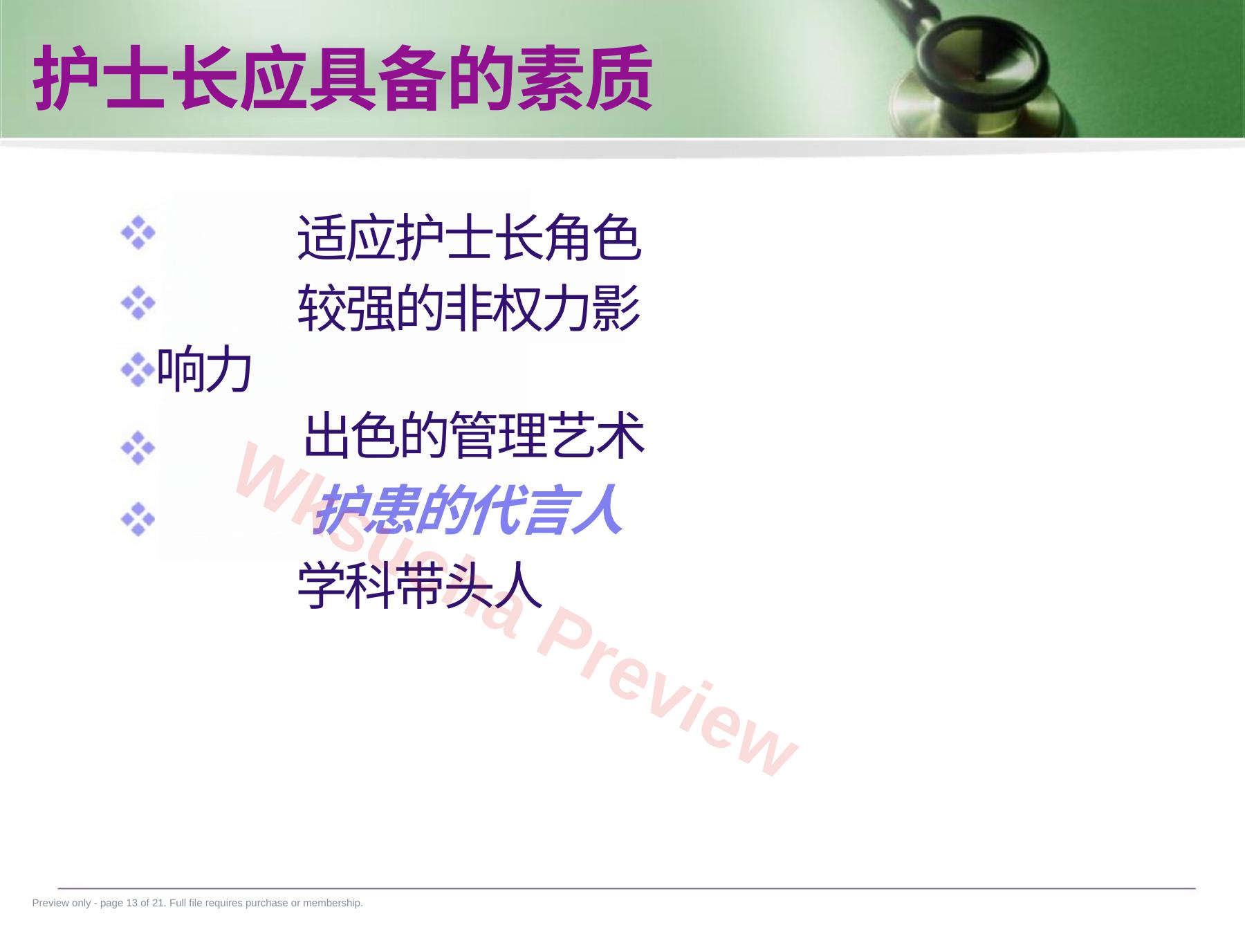预览第 13 页