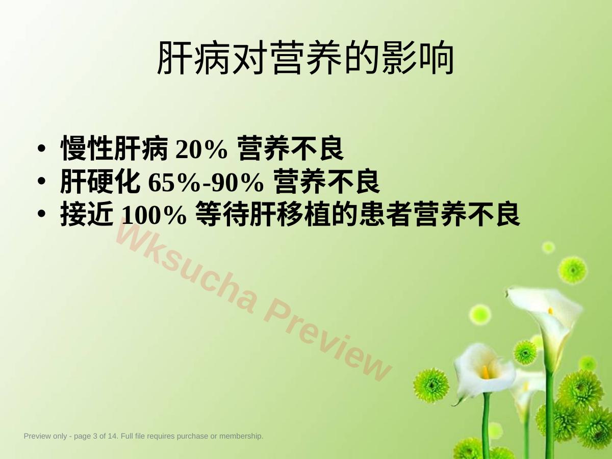 预览第 3 页