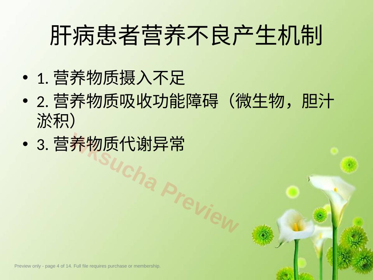 预览第 4 页