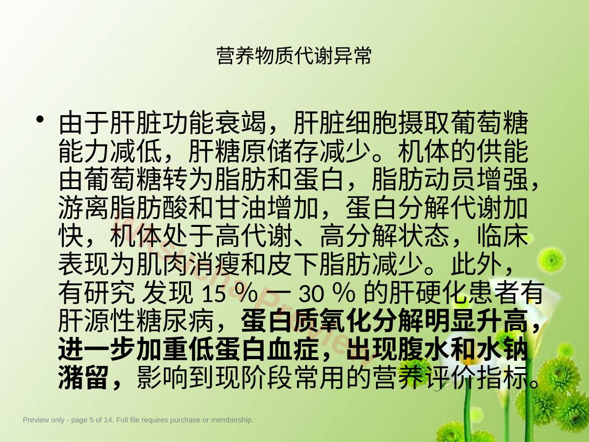 预览第 5 页