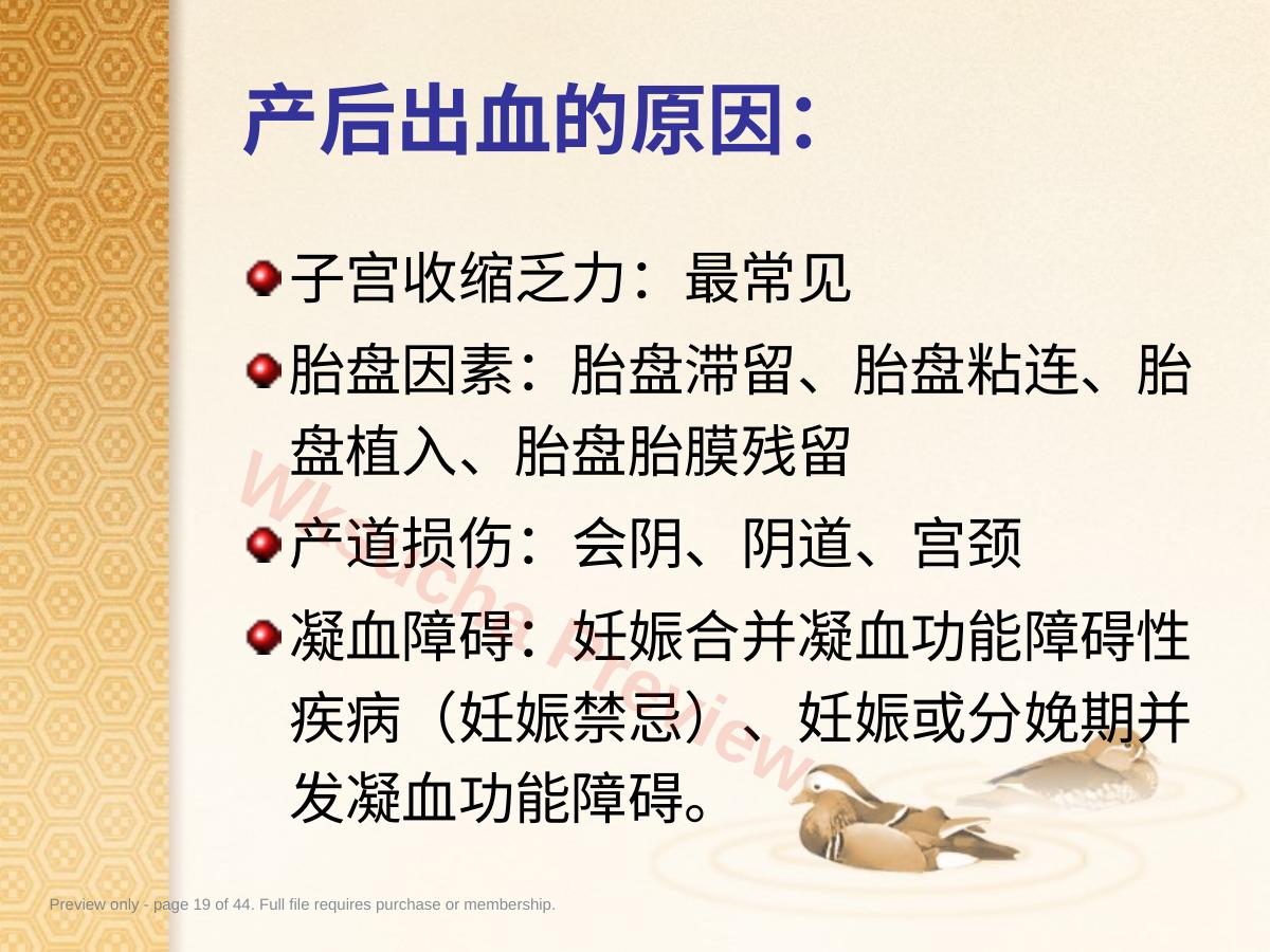 预览第 19 页