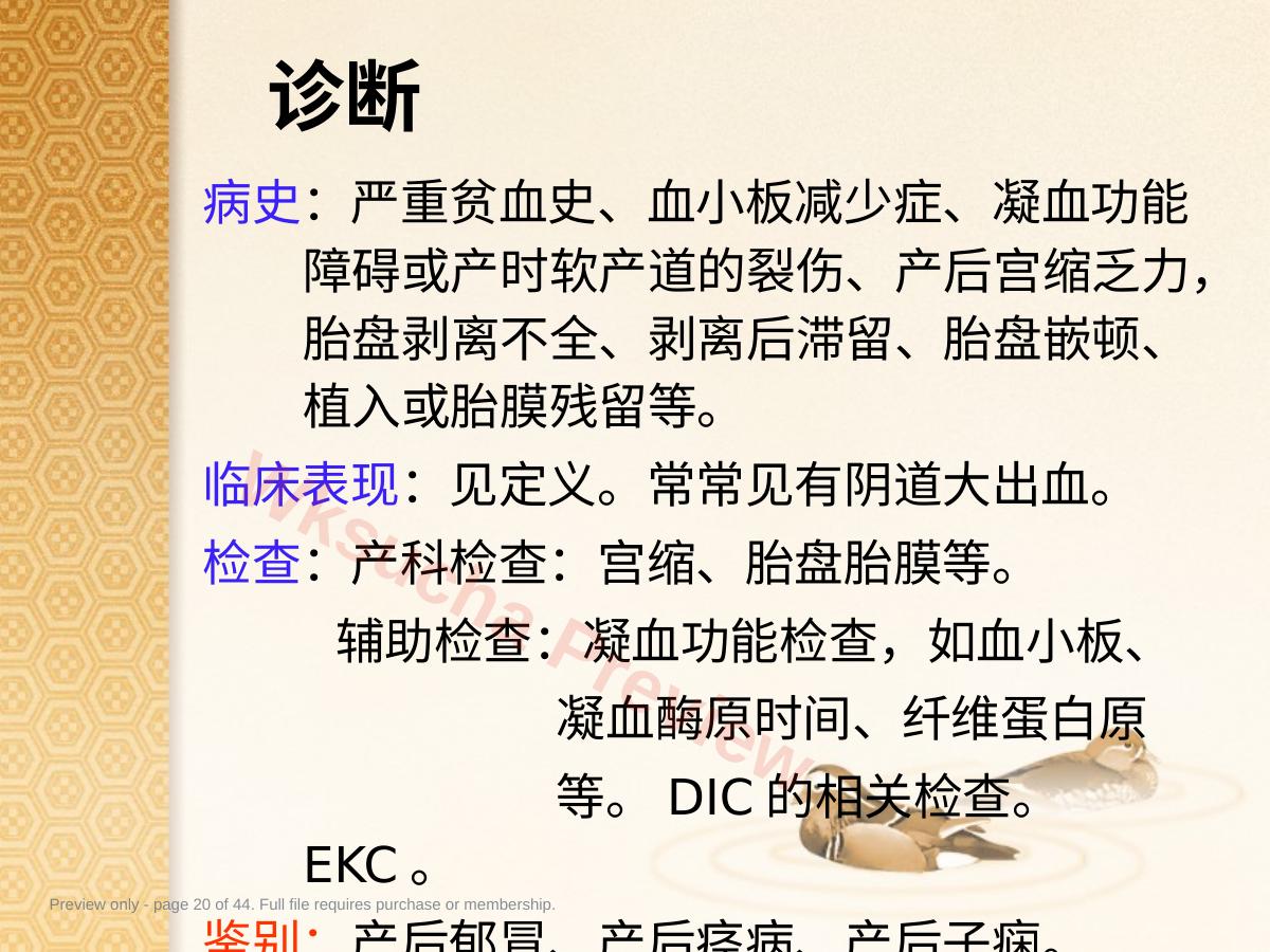 预览第 20 页