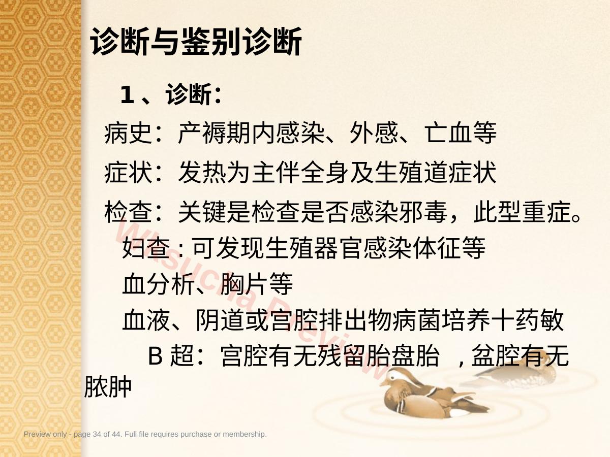 预览第 34 页
