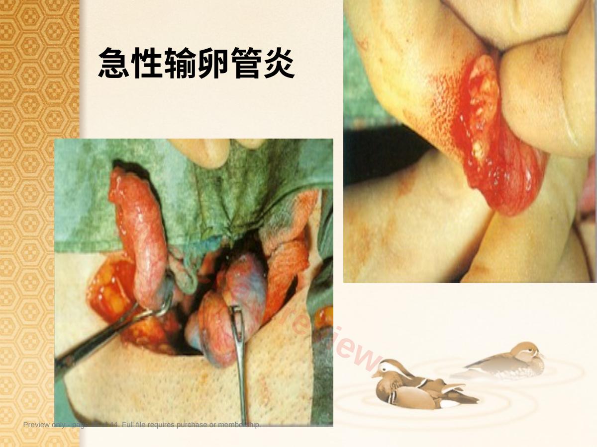 预览第 36 页
