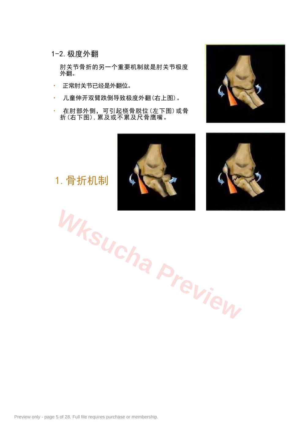 预览第 5 页