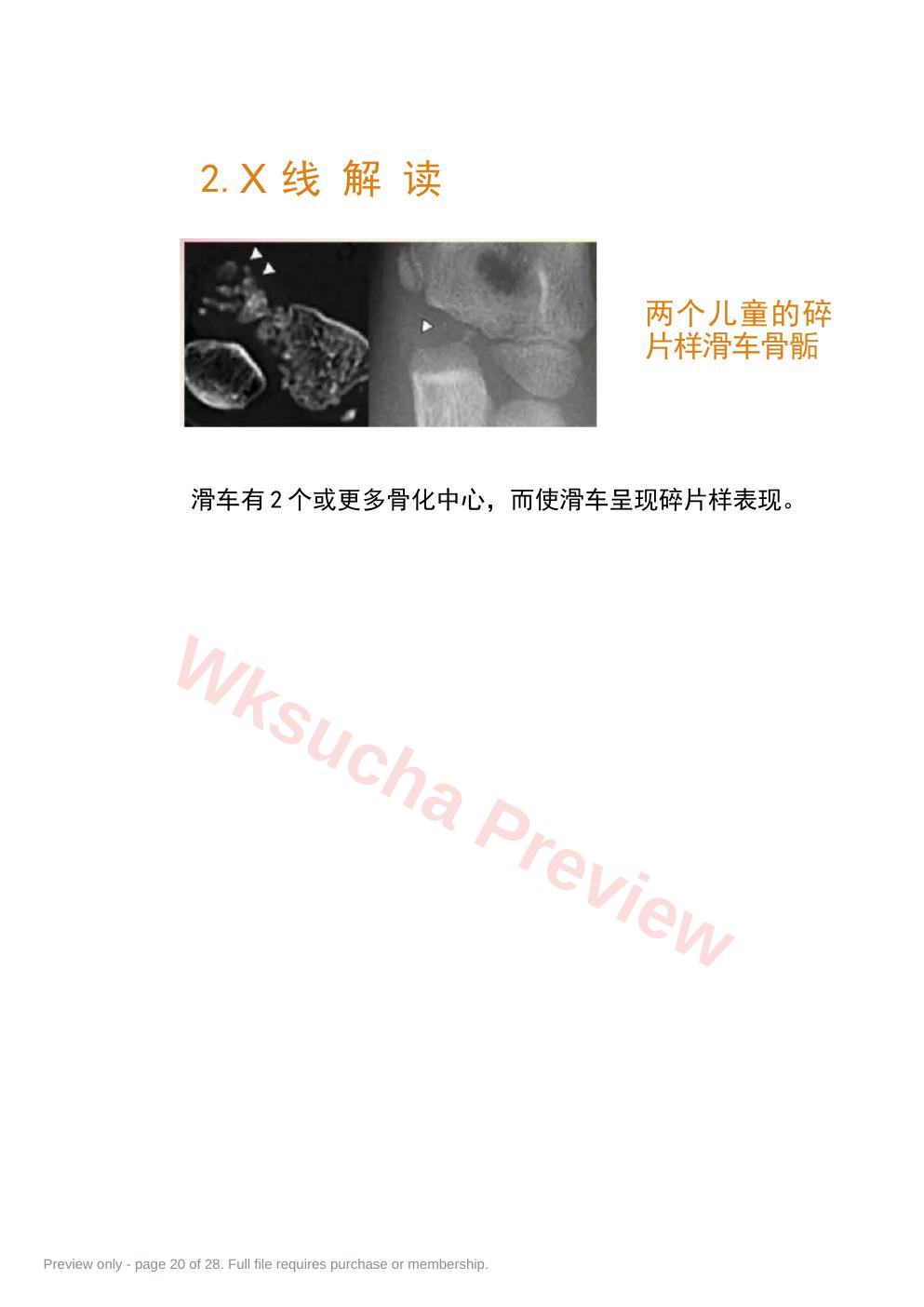 预览第 20 页