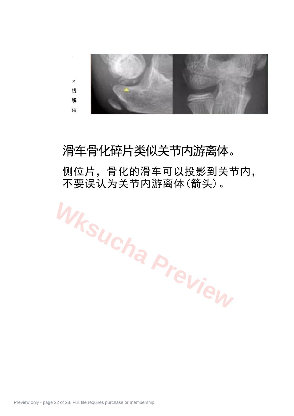 预览第 22 页