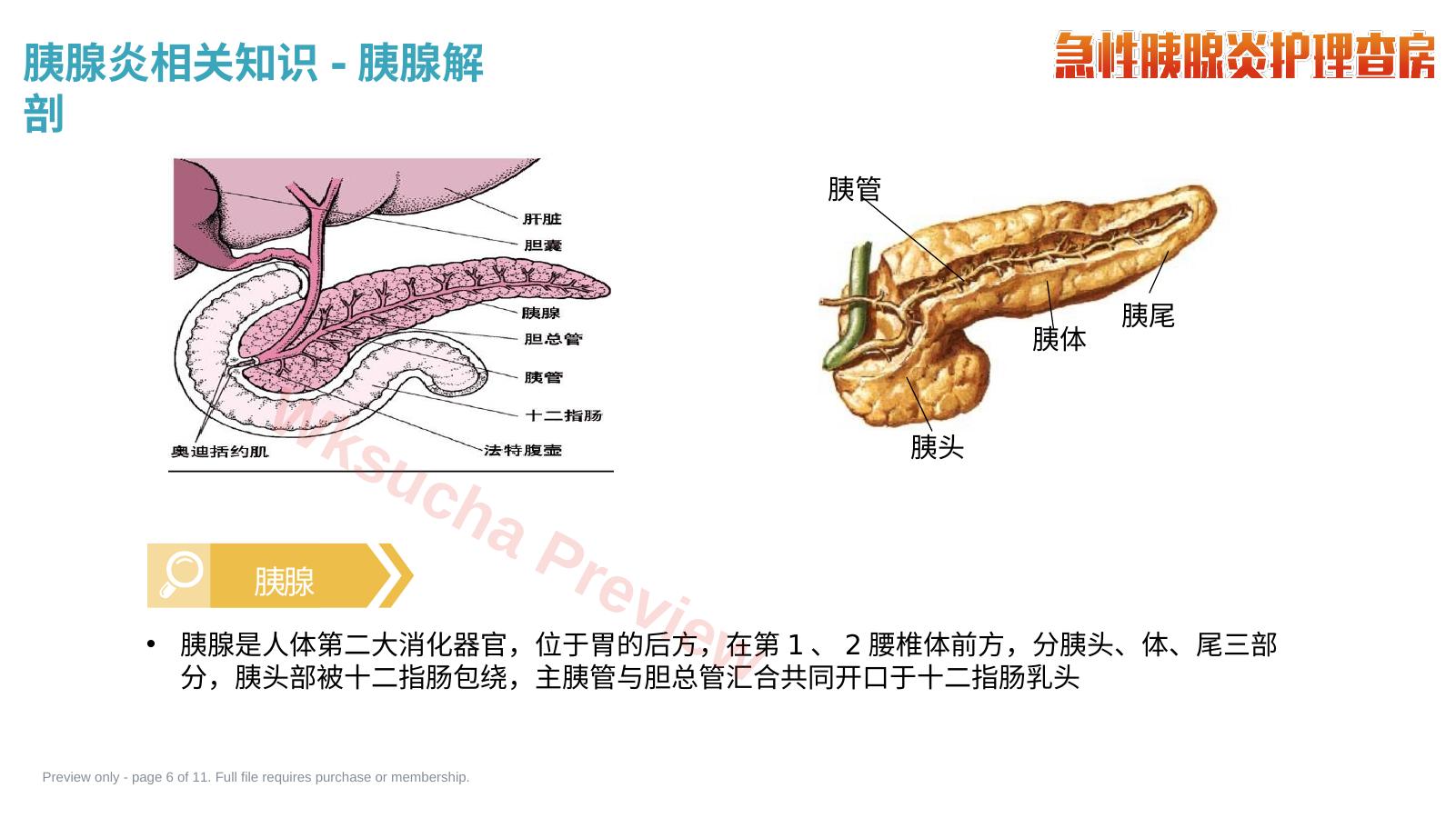预览第 6 页