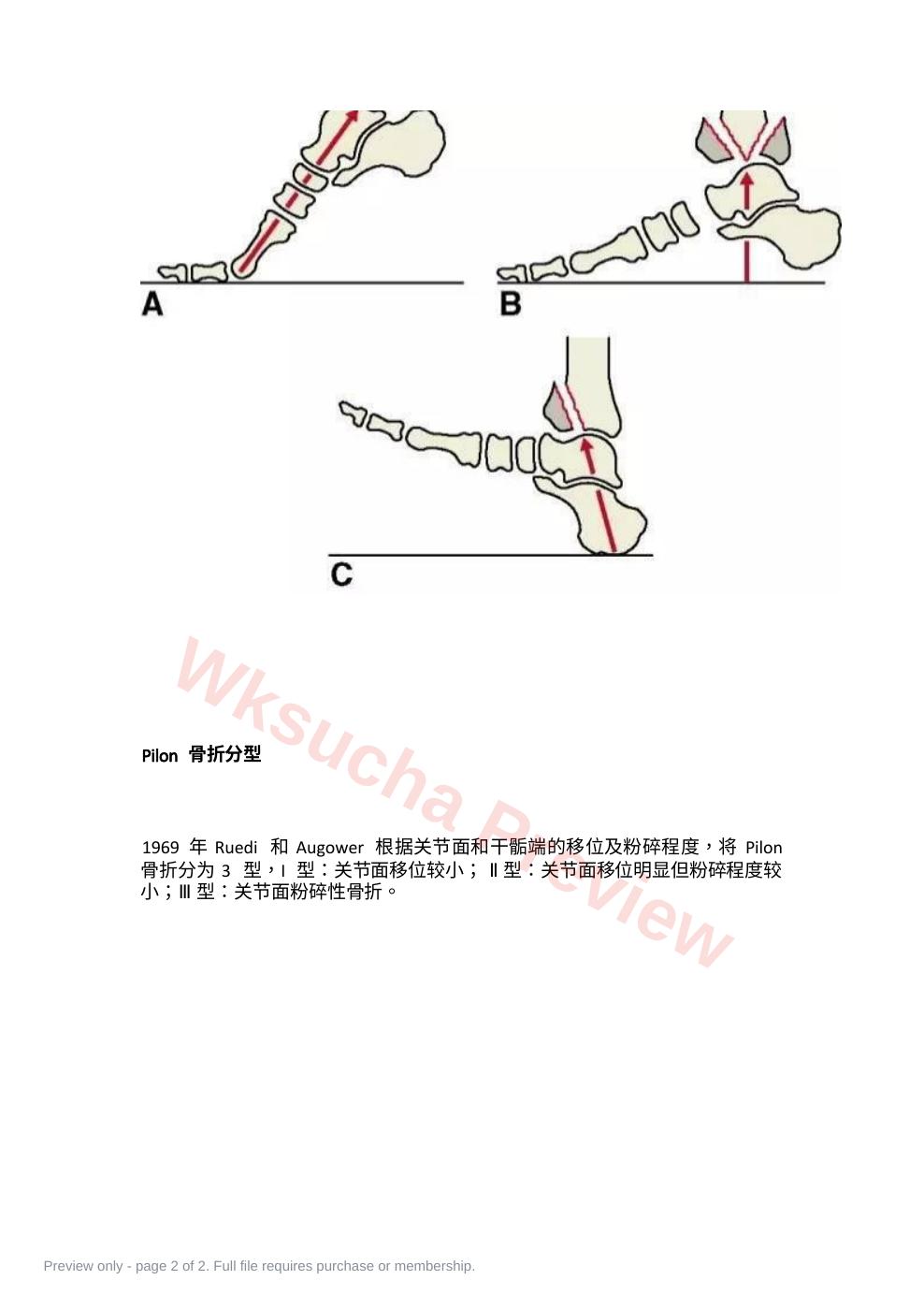 预览第 2 页