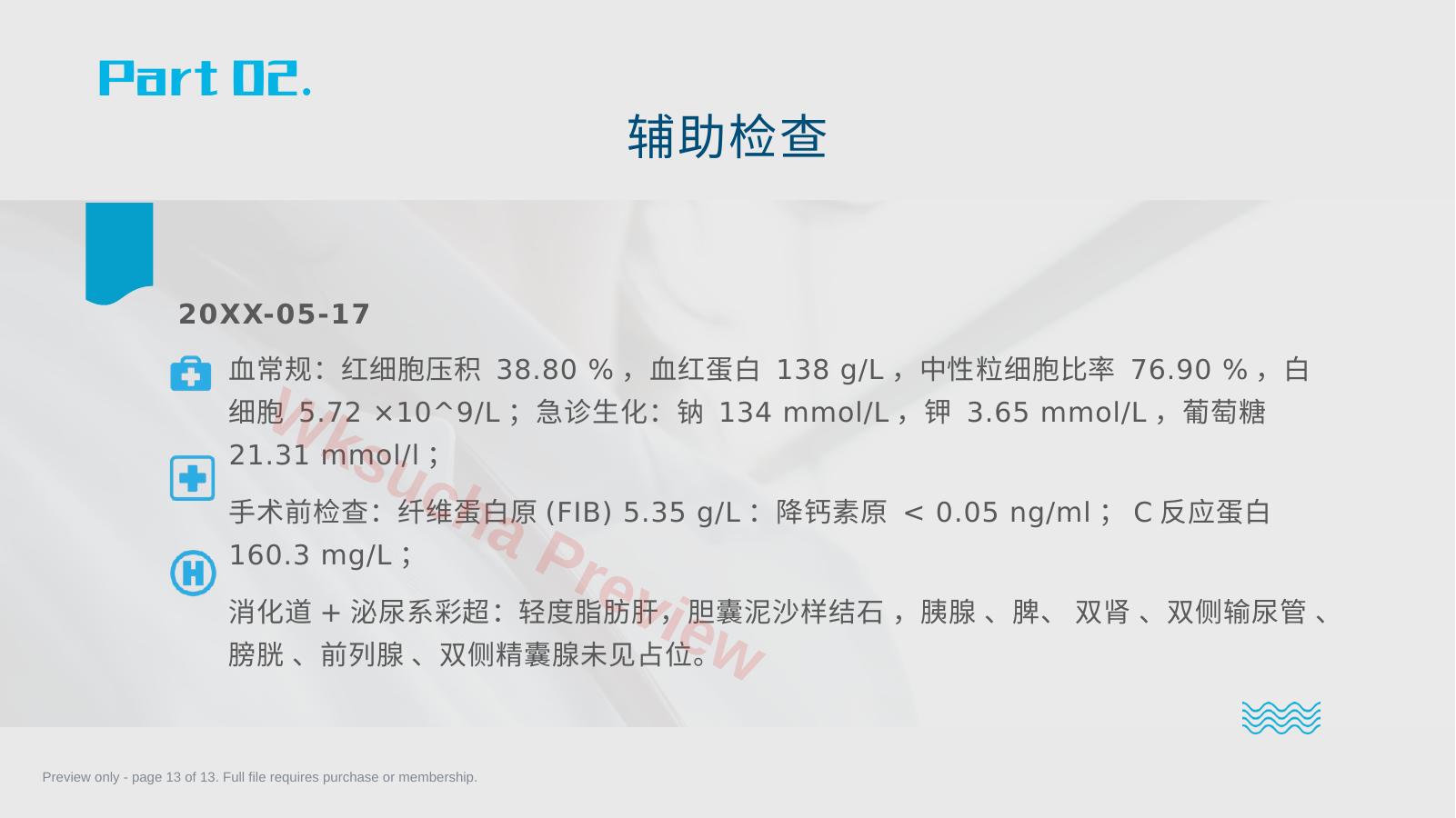 预览第 13 页