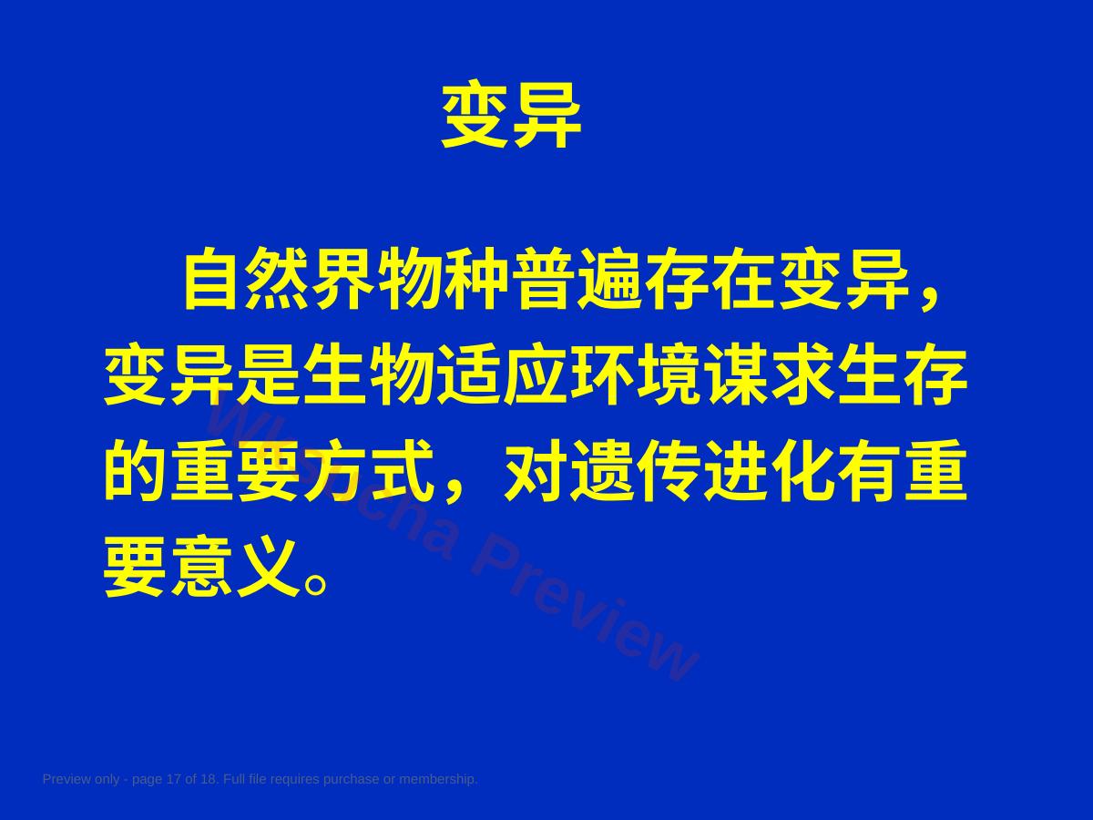 预览第 17 页