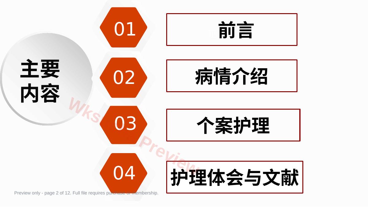 预览第 2 页