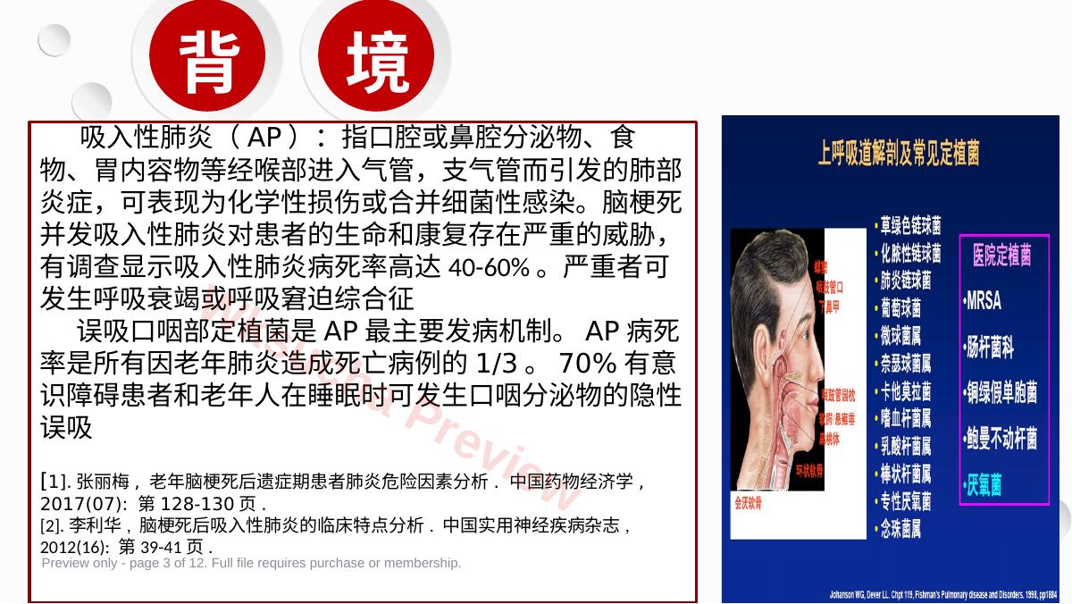 预览第 3 页
