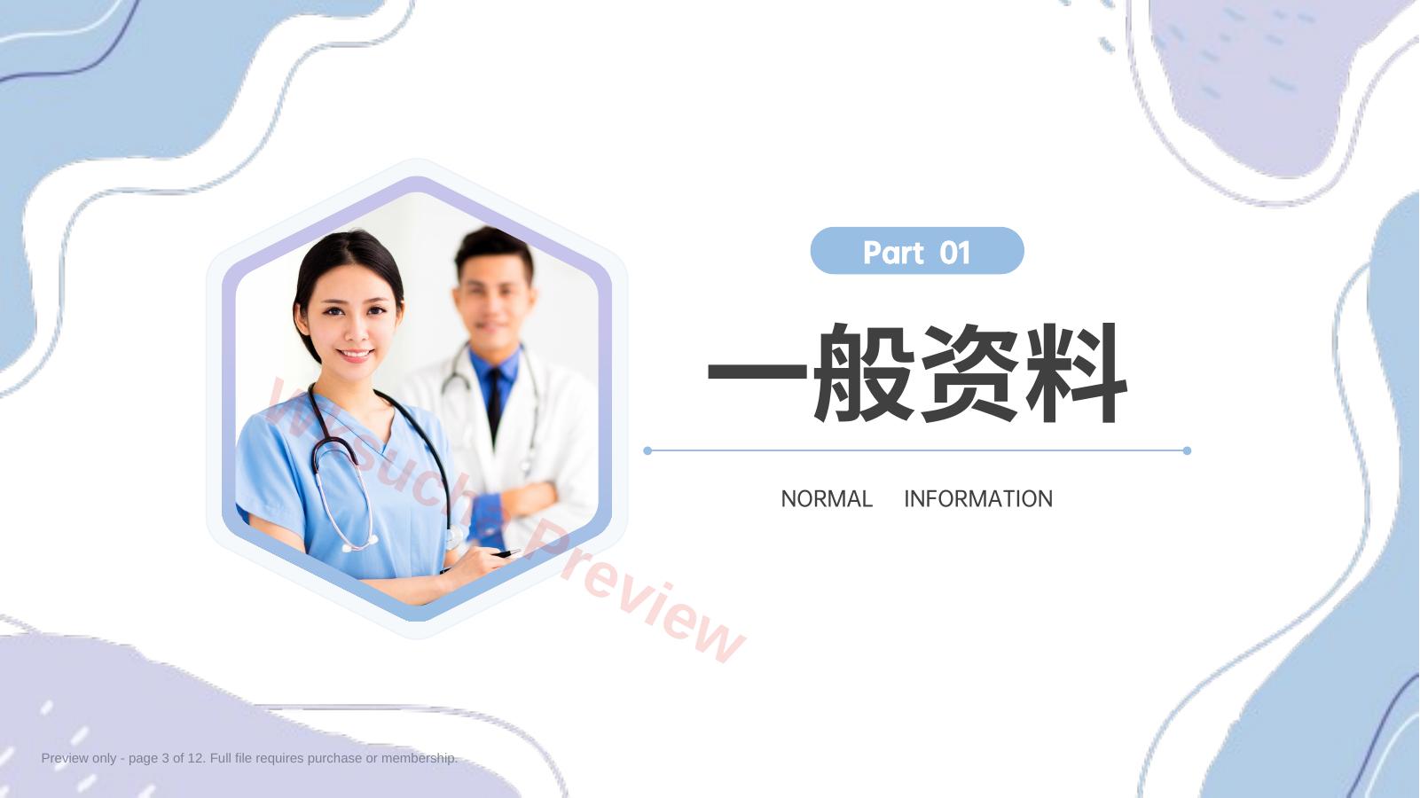 预览第 3 页