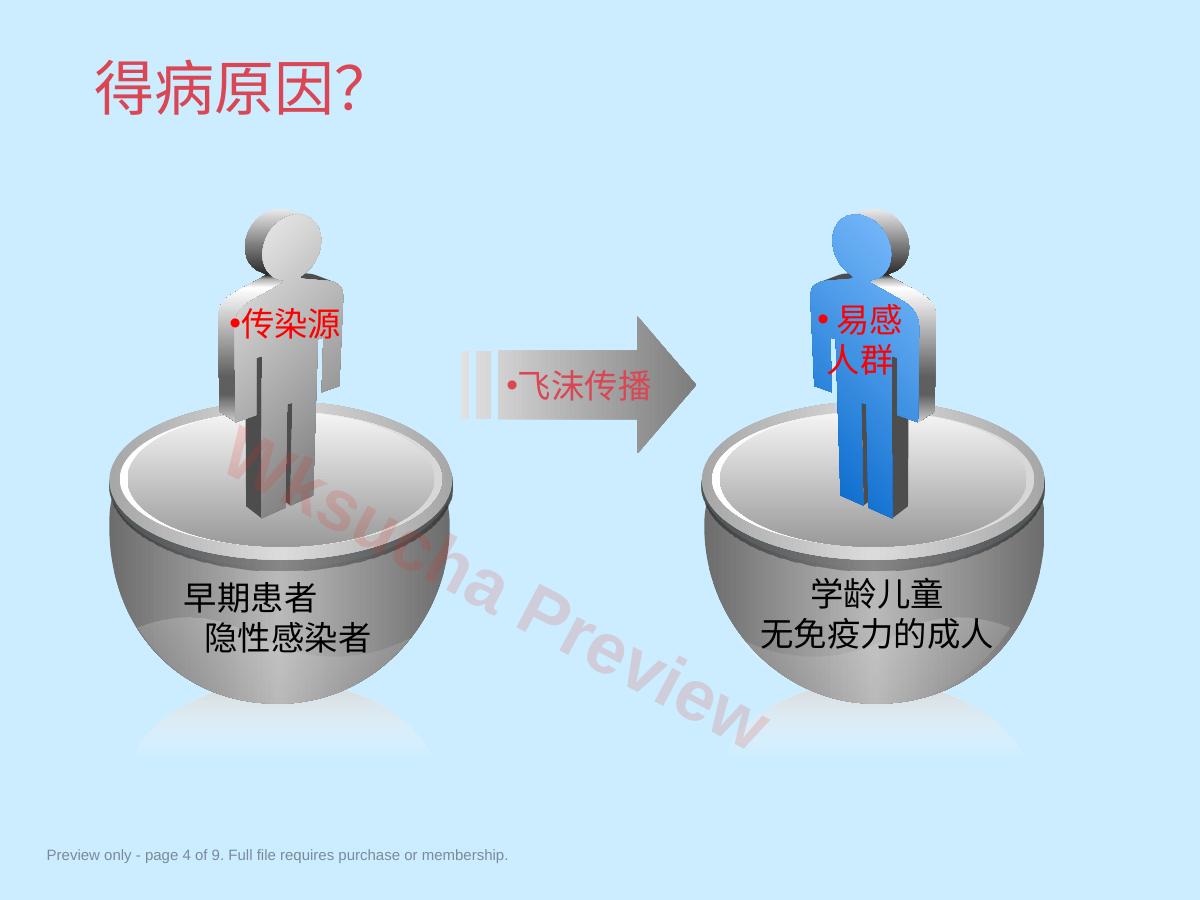 预览第 4 页