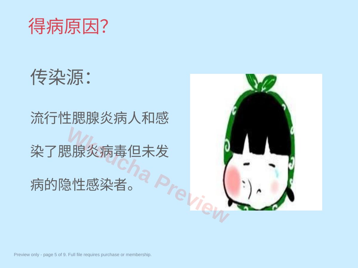 预览第 5 页
