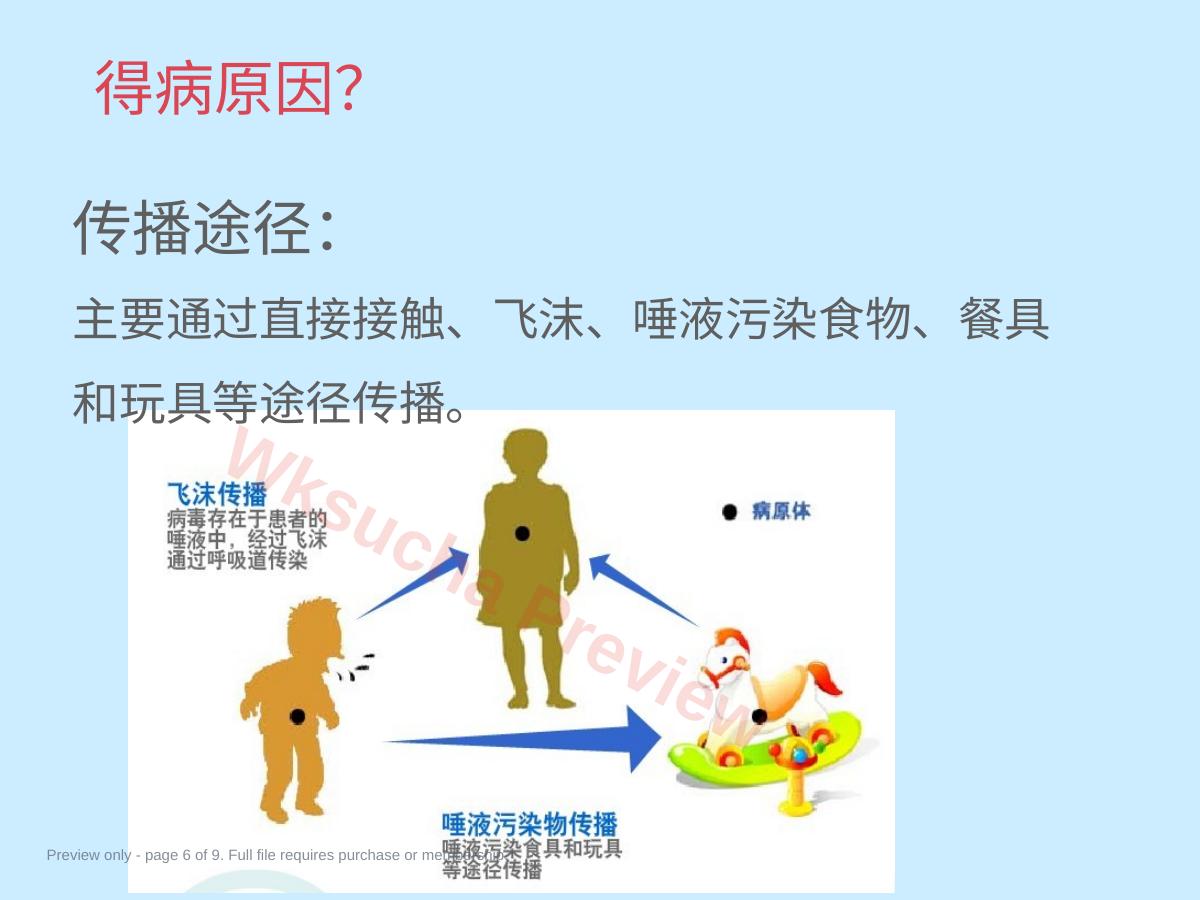 预览第 6 页