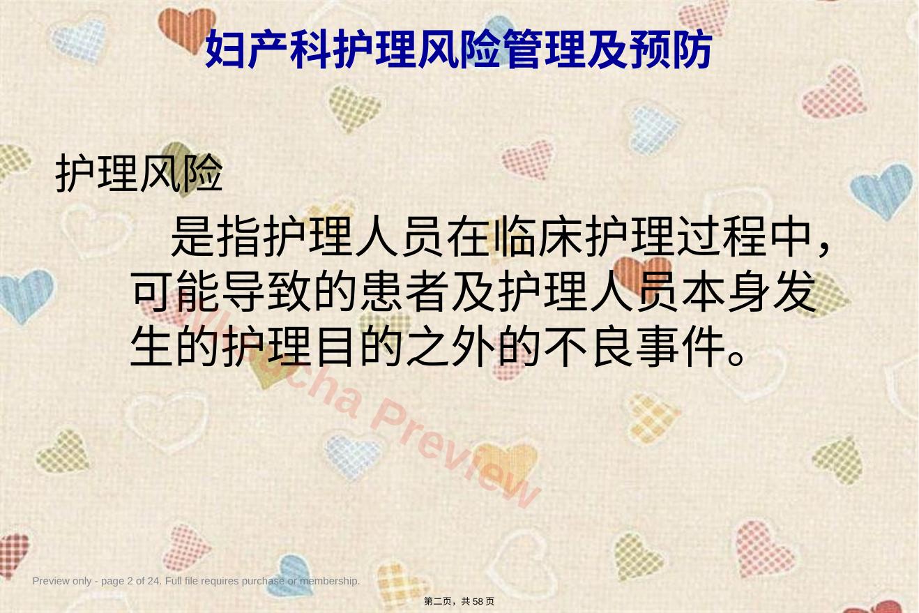 预览第 2 页
