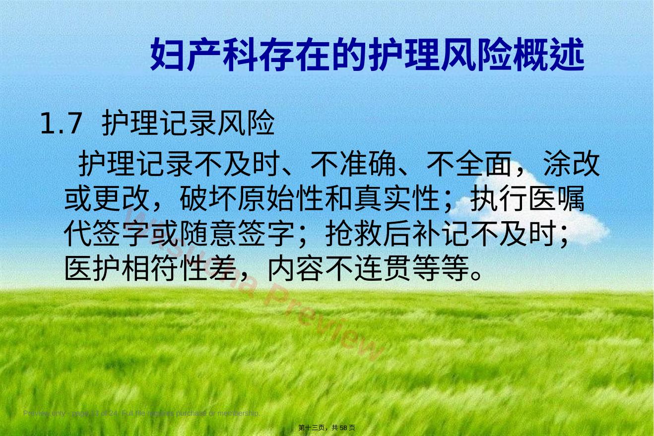 预览第 13 页