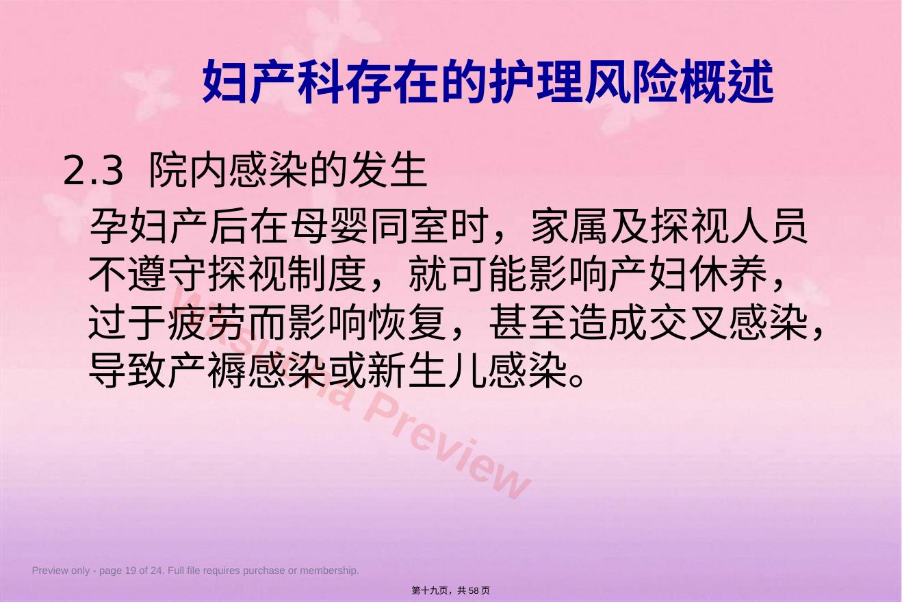 预览第 19 页