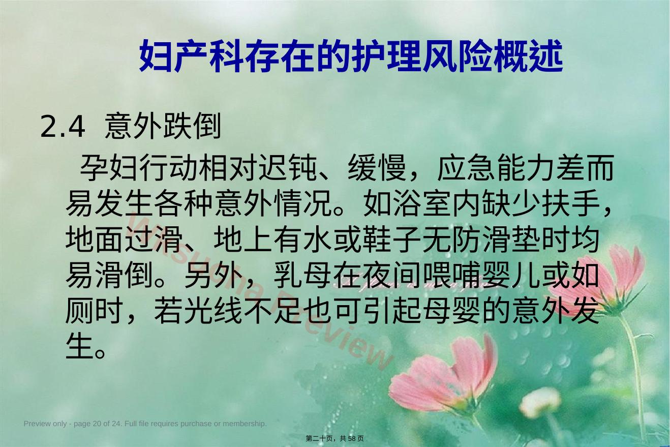 预览第 20 页