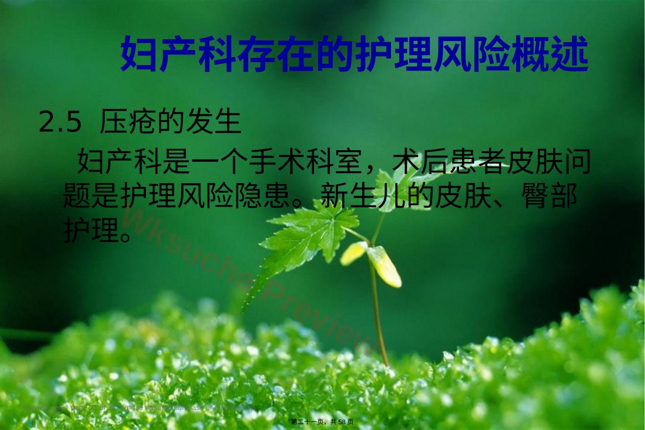 预览第 21 页