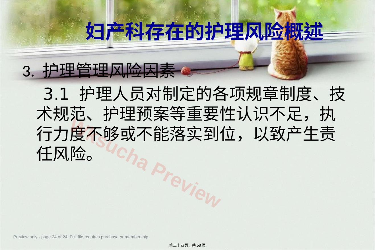 预览第 24 页
