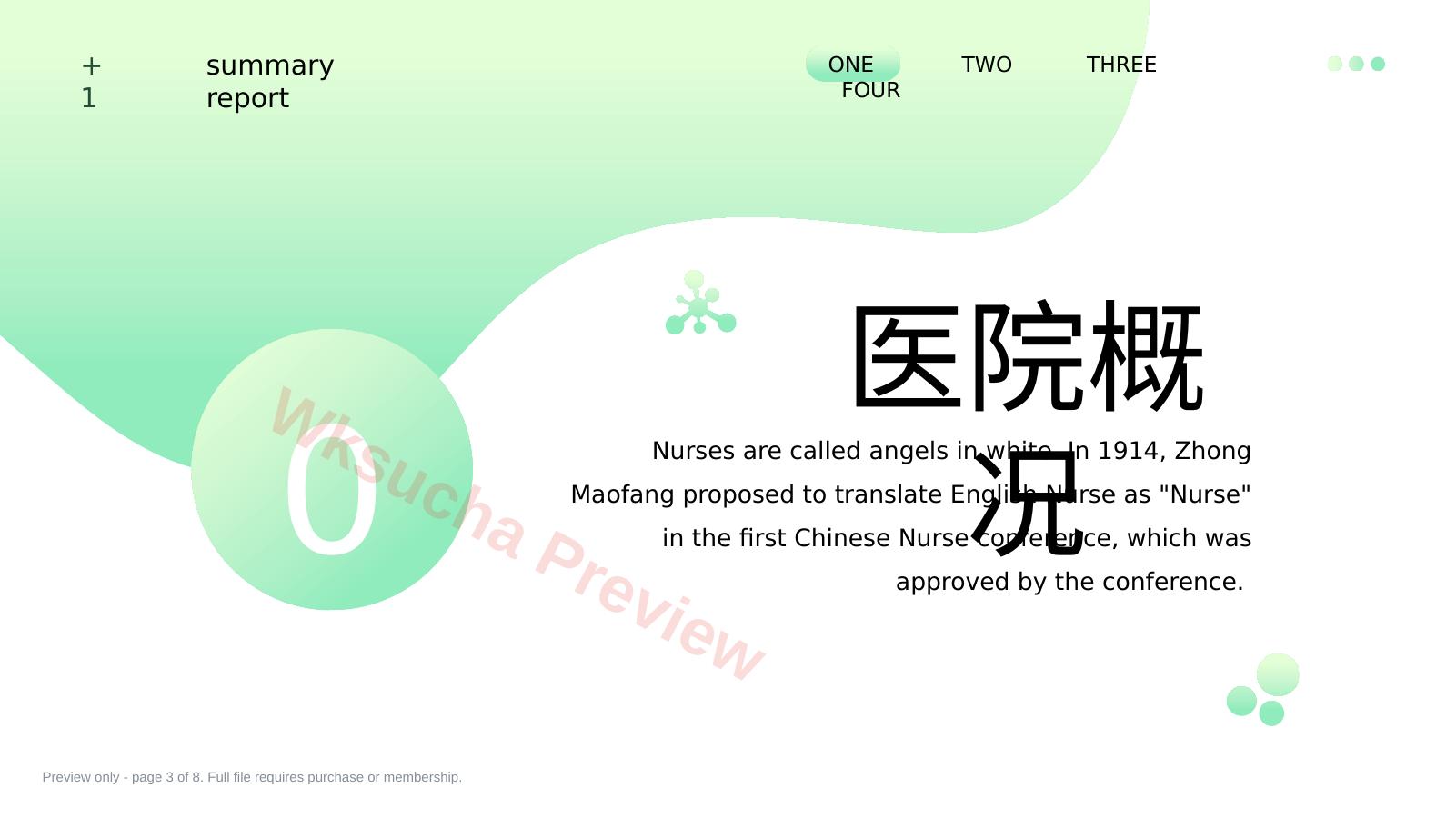 预览第 3 页