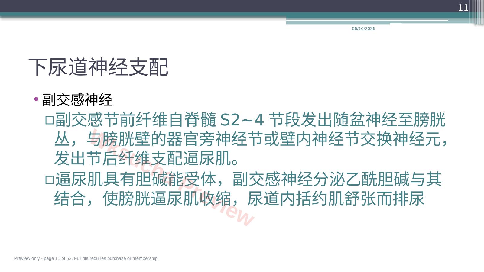 预览第 11 页
