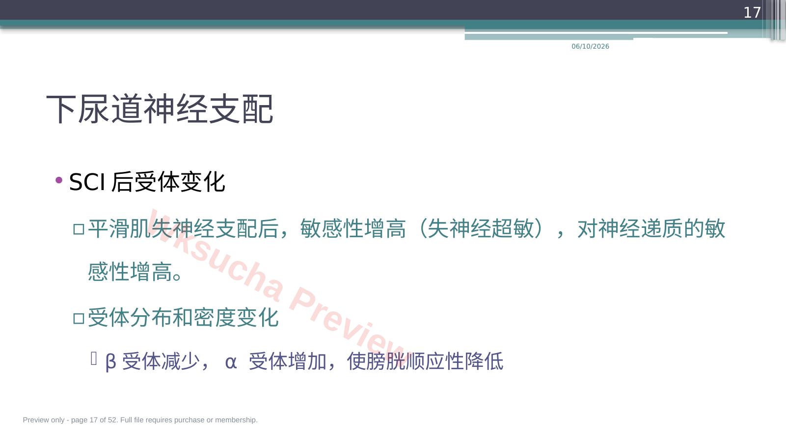 预览第 17 页
