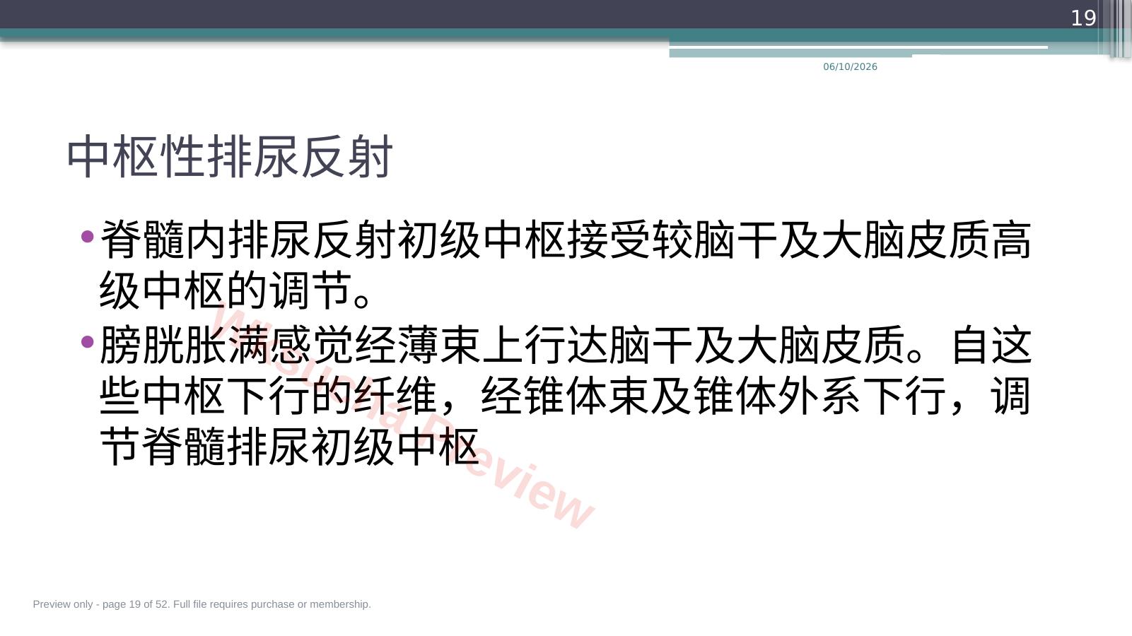预览第 19 页