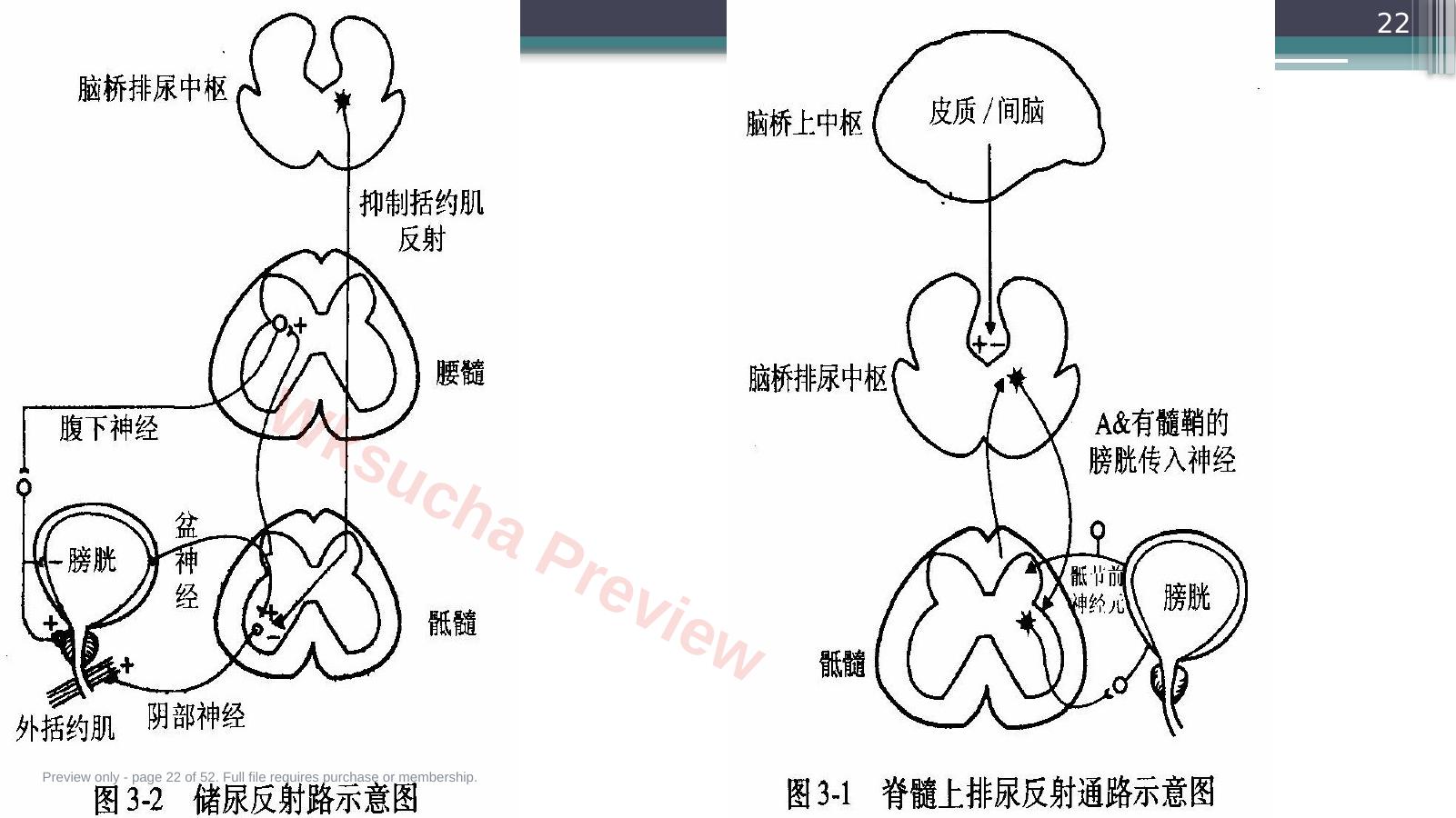 预览第 22 页
