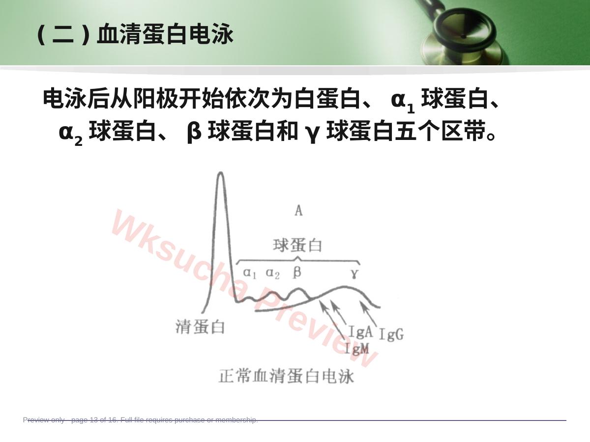 预览第 13 页