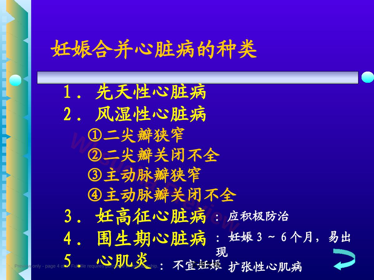 预览第 4 页