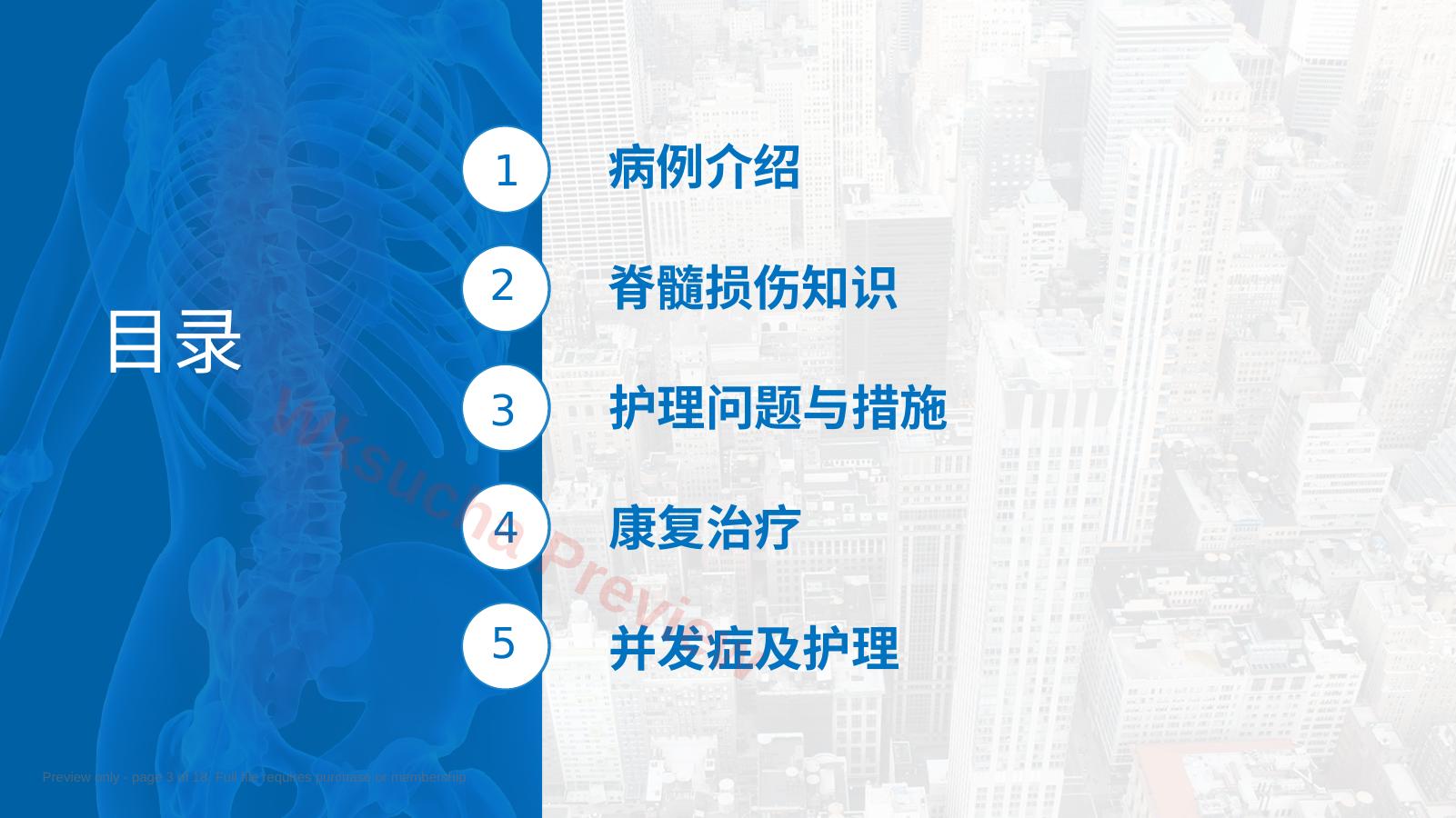预览第 3 页