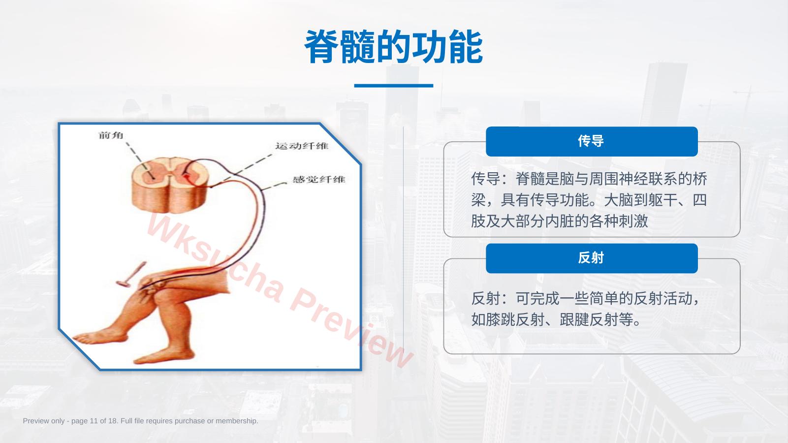 预览第 11 页