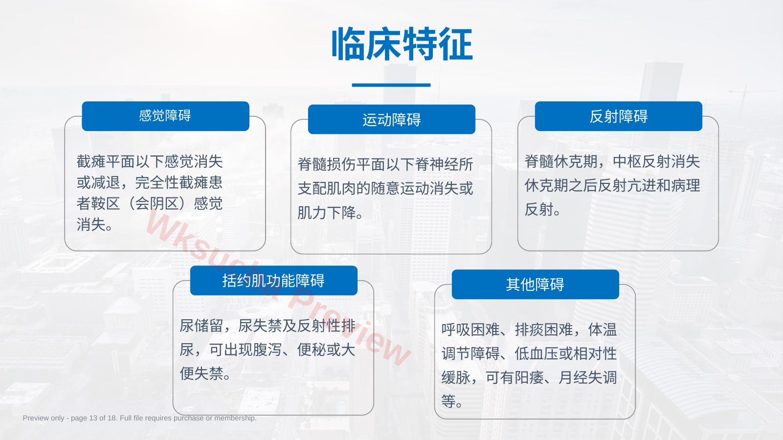 预览第 13 页