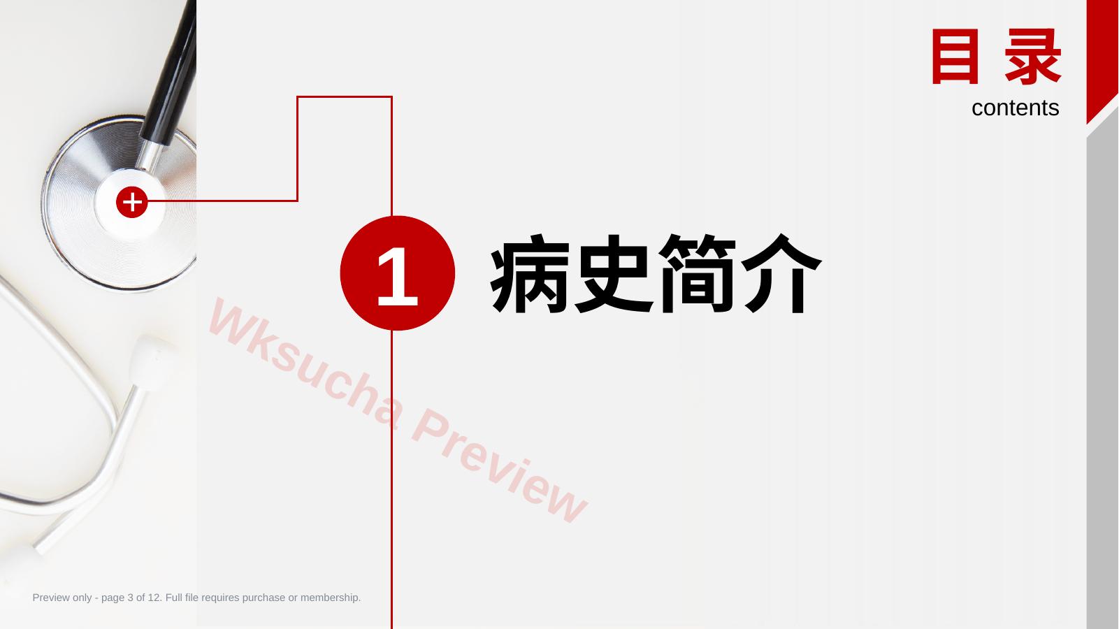 预览第 3 页