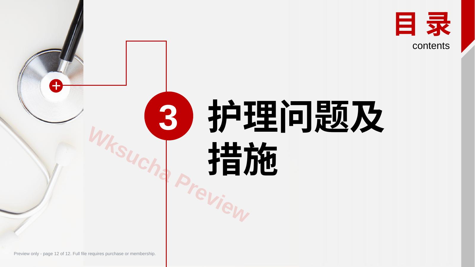 预览第 12 页