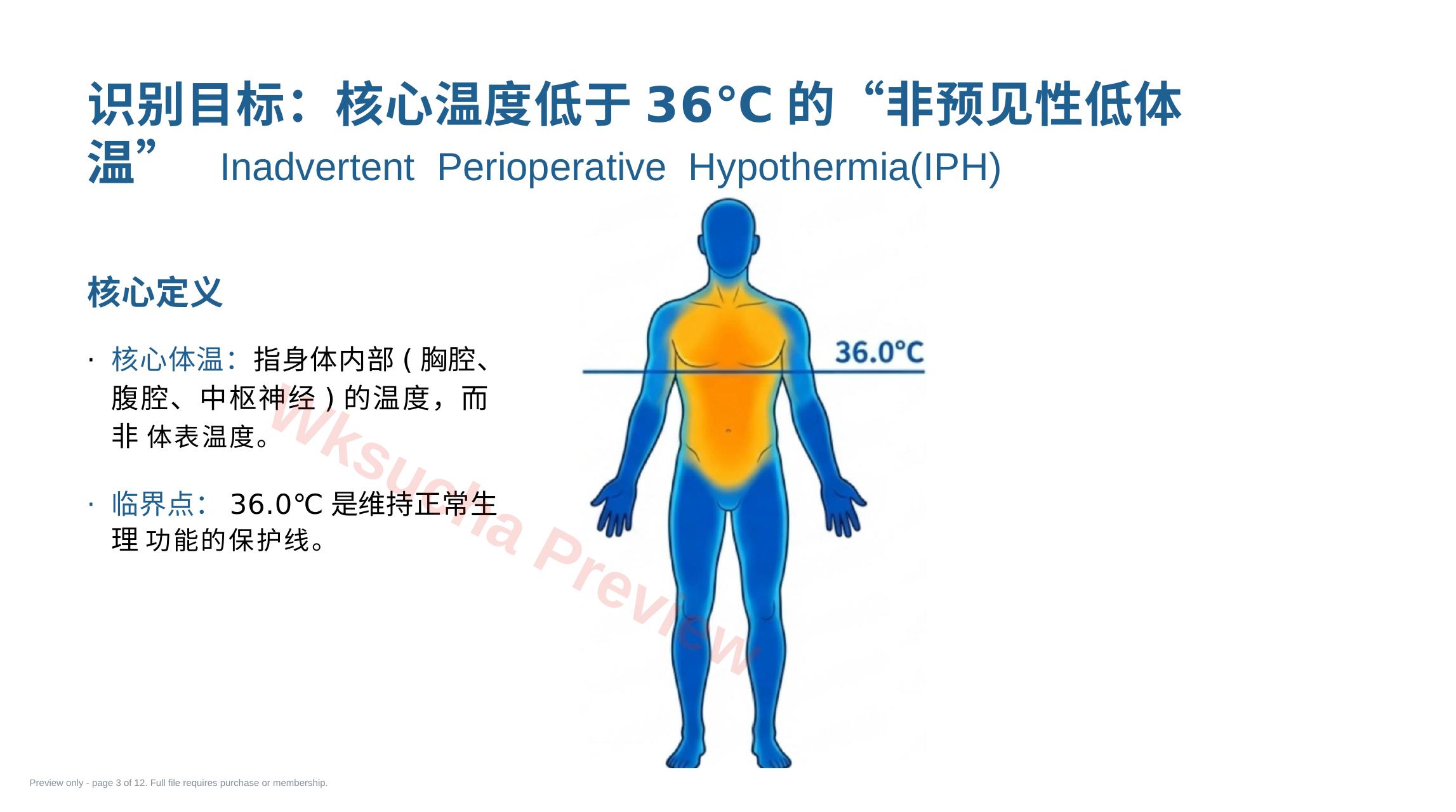 预览第 3 页