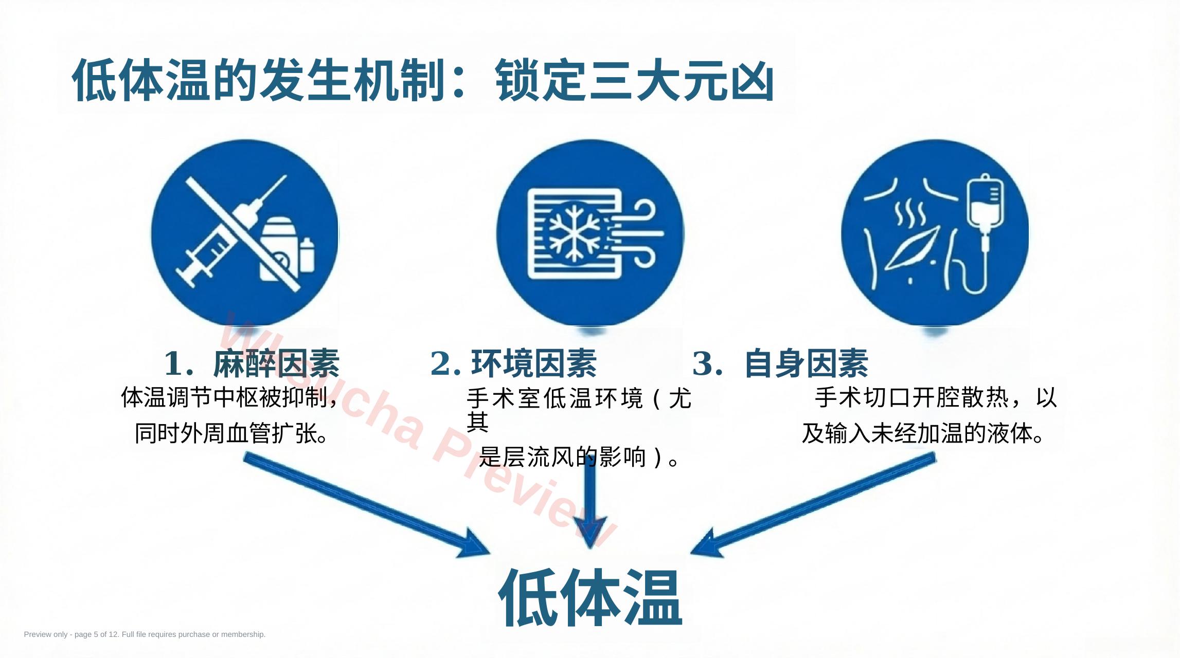 预览第 5 页
