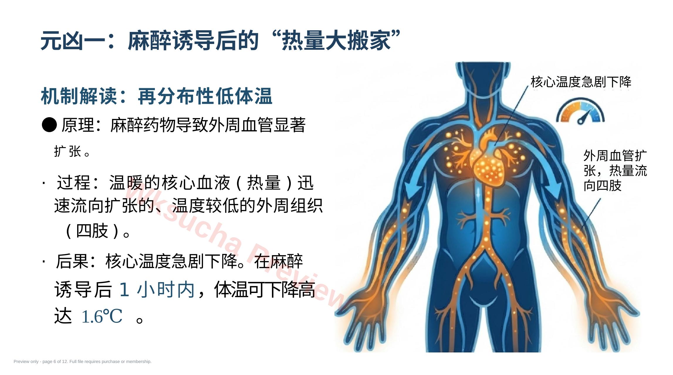 预览第 6 页