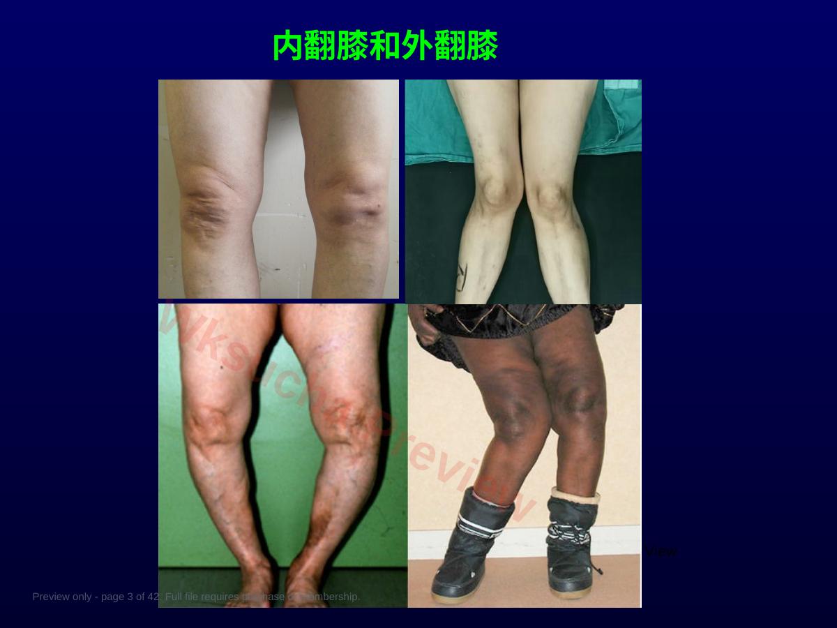 预览第 3 页