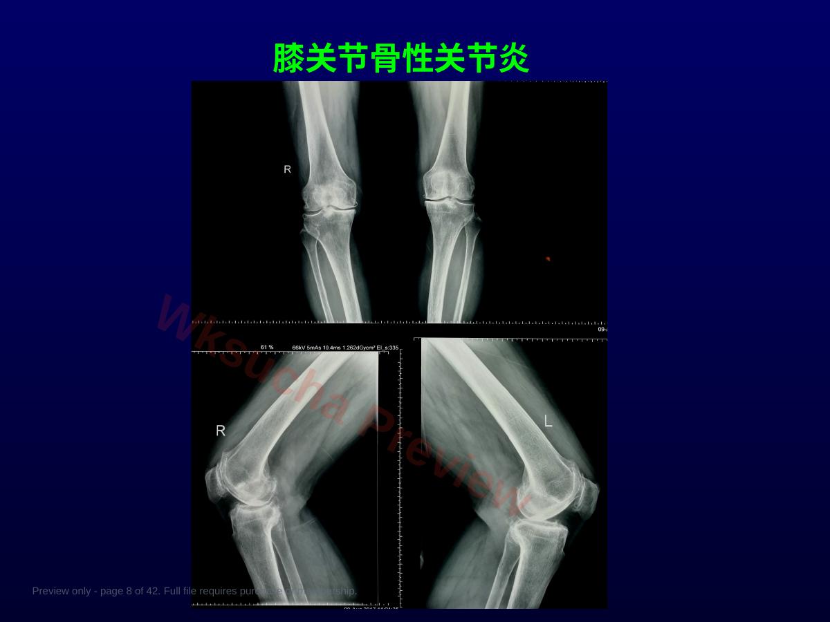 预览第 8 页