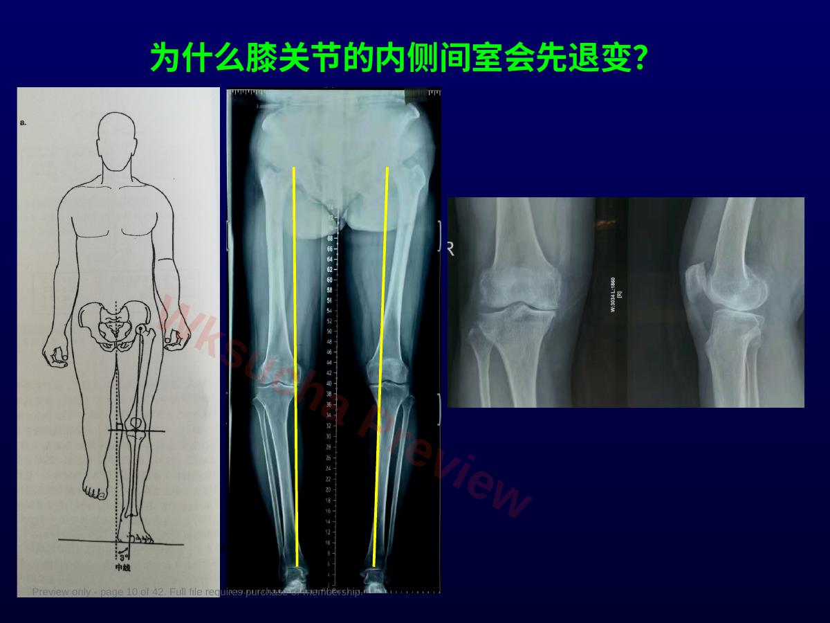 预览第 10 页
