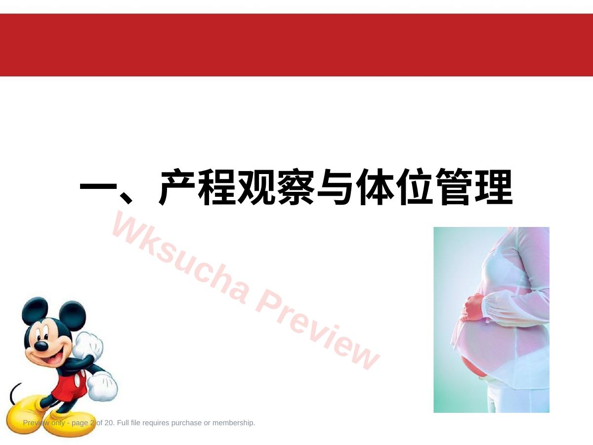 预览第 2 页
