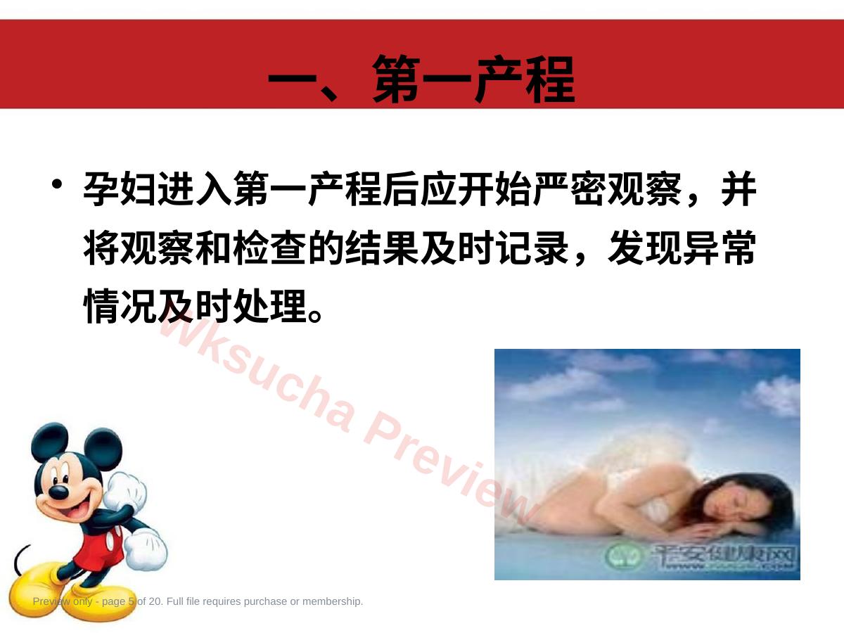 预览第 5 页
