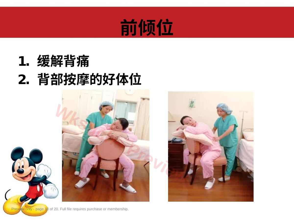 预览第 10 页