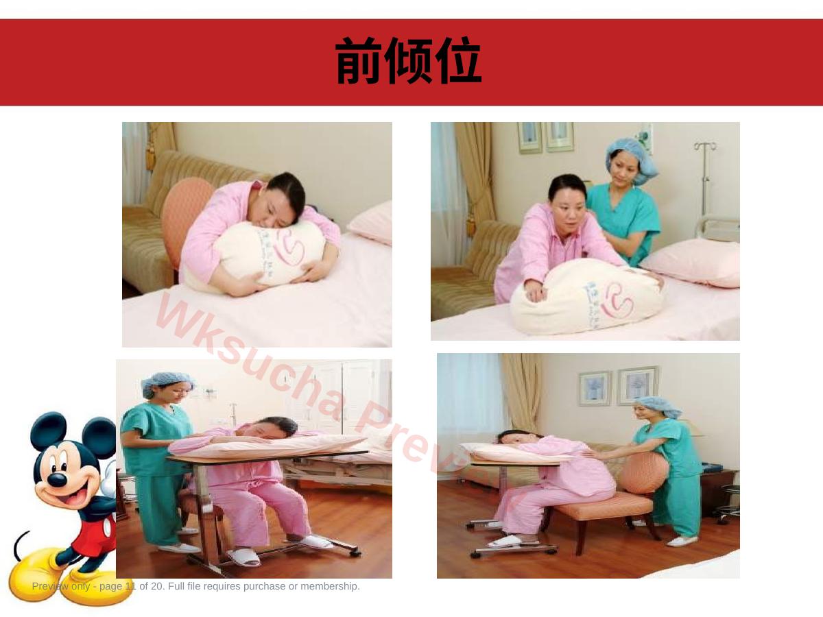 预览第 11 页